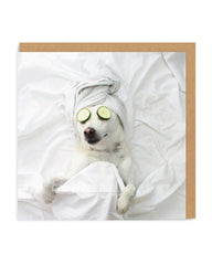 Pampered Pooch Quirky Mother's Day Card The Crafty Bonobo Greetings Card 1