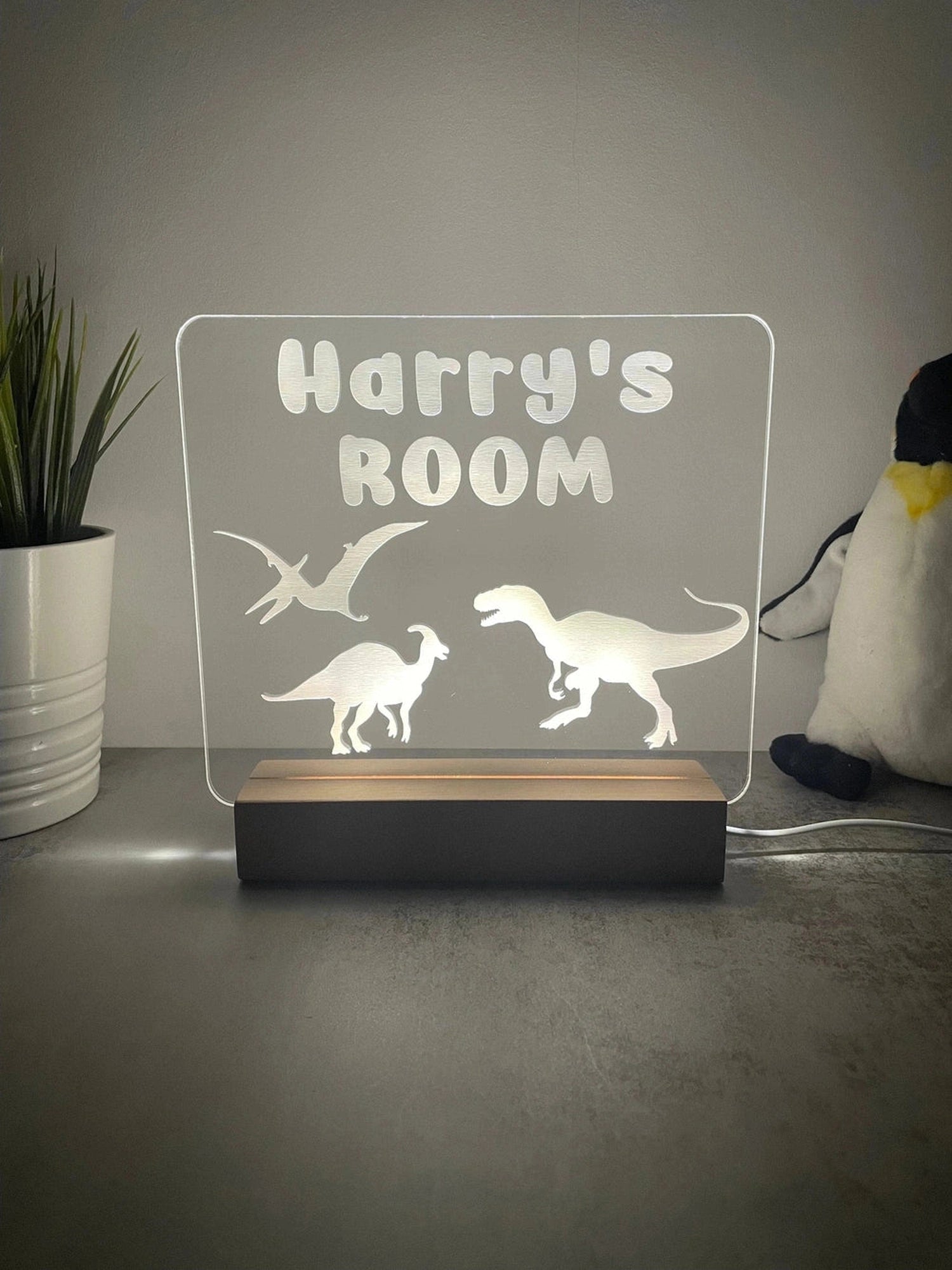 Custom Children’s LED Night Lamp | Dinosaur The Crafty Bonobo LED Signs 1