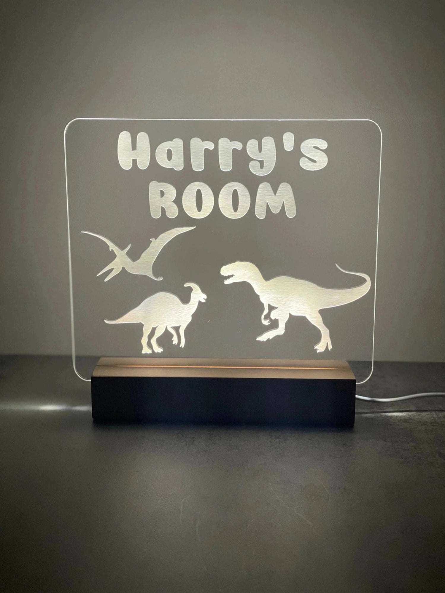 Custom Children’s LED Night Lamp | Dinosaur The Crafty Bonobo LED Signs 3