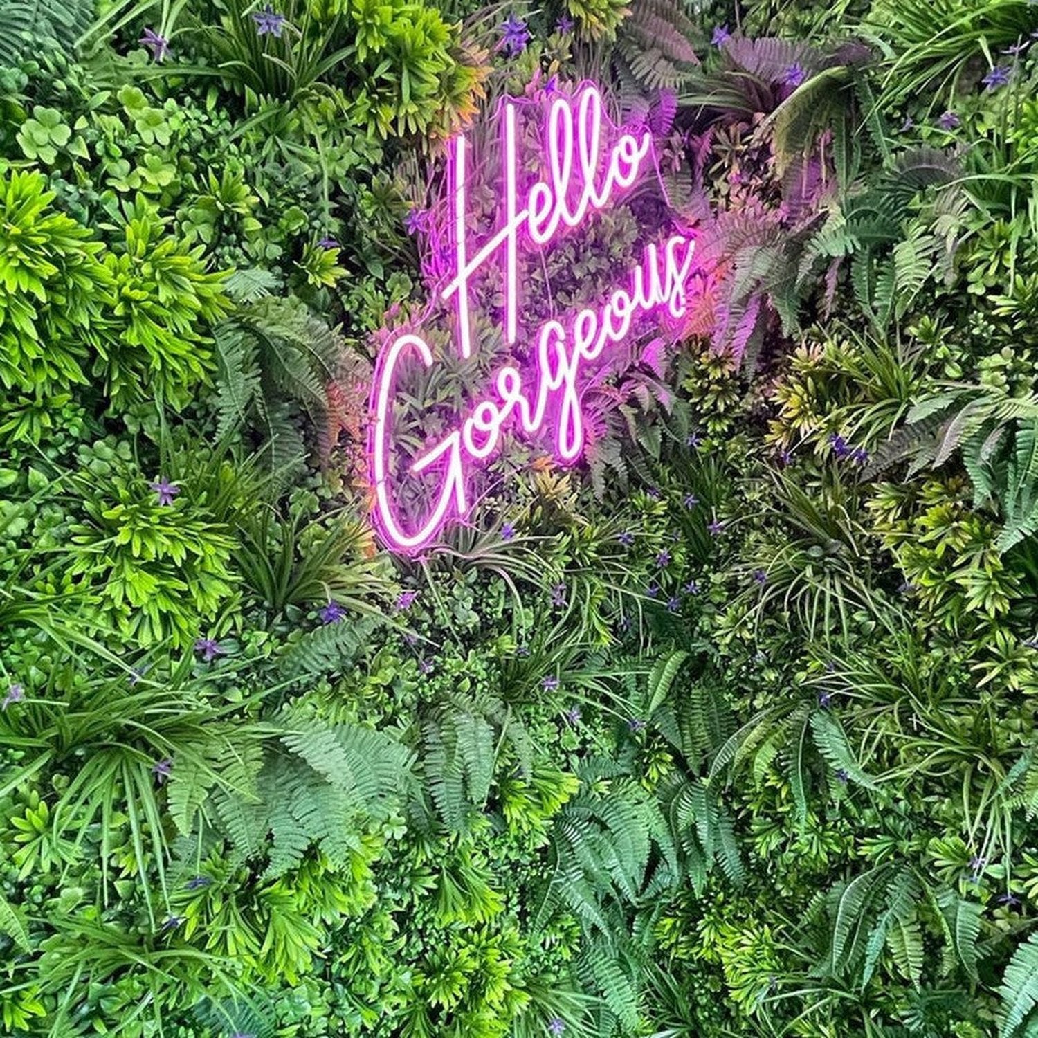 Hello Gorgeous Neon Sign The Crafty Bonobo Neon Sign 7
