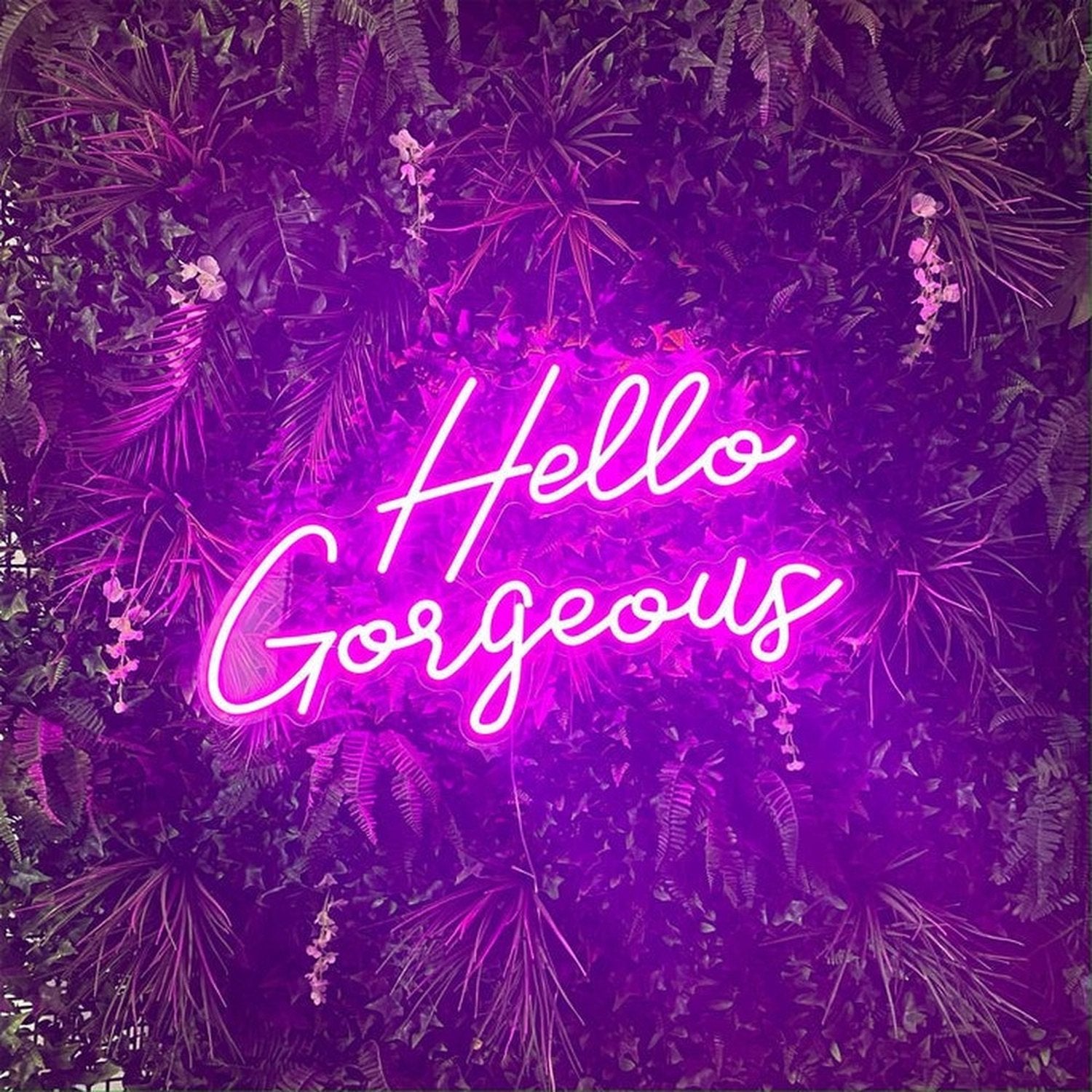 Hello Gorgeous Neon Sign The Crafty Bonobo Neon Sign 5