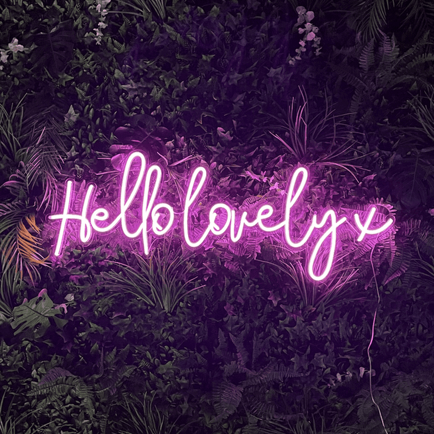 Hello Lovely x Neon Sign The Crafty Bonobo Neon Sign 1