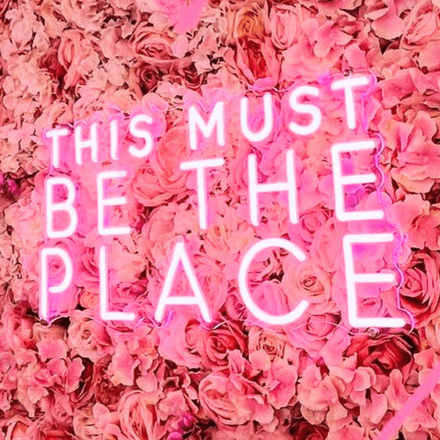 This Must Be The Place Neon Sign The Crafty Bonobo Neon Sign 1