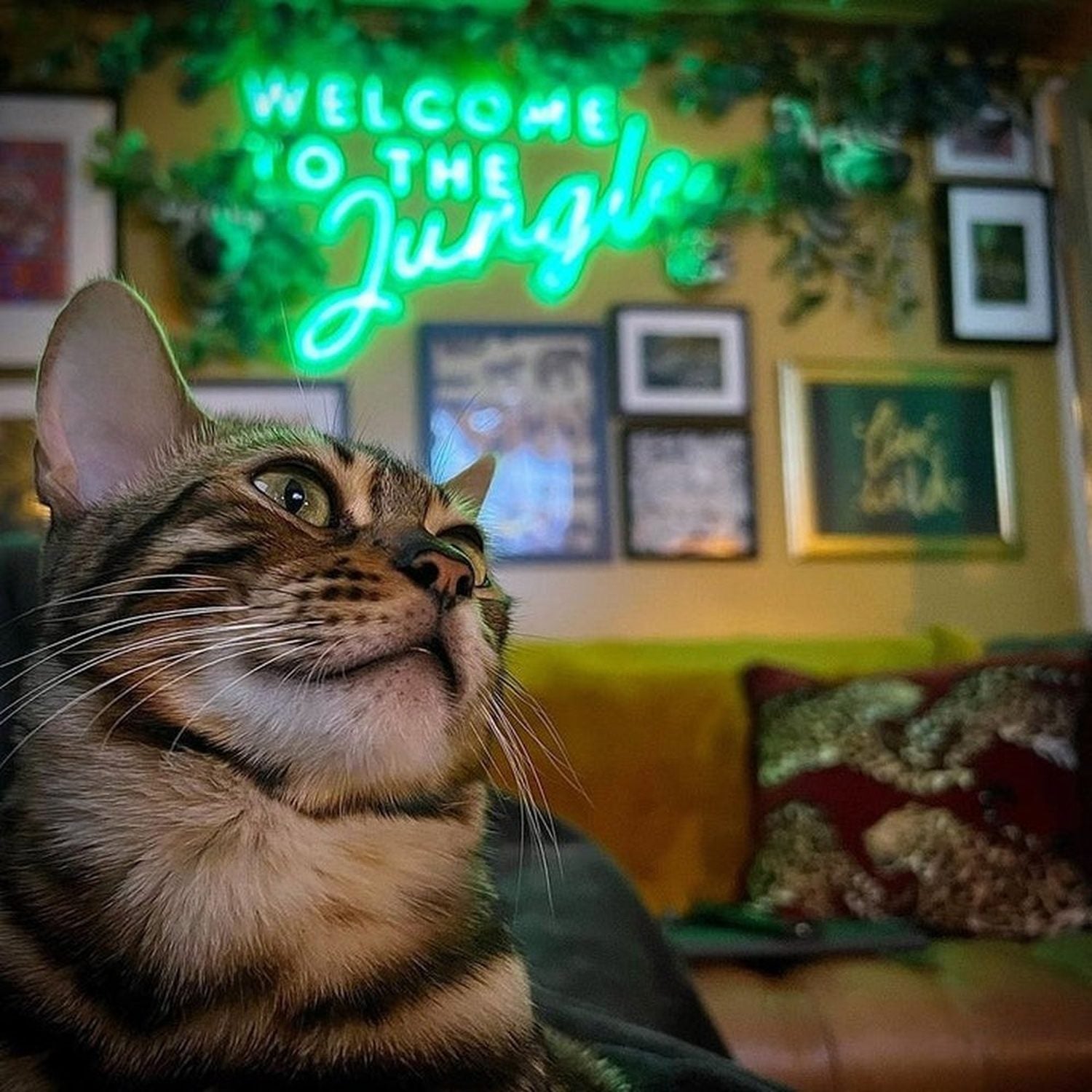 Welcome To The Jungle Neon Sign The Crafty Bonobo Neon Sign 6