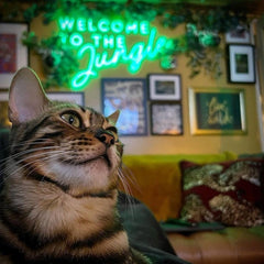 Welcome To The Jungle Neon Sign The Crafty Bonobo Neon Sign 6