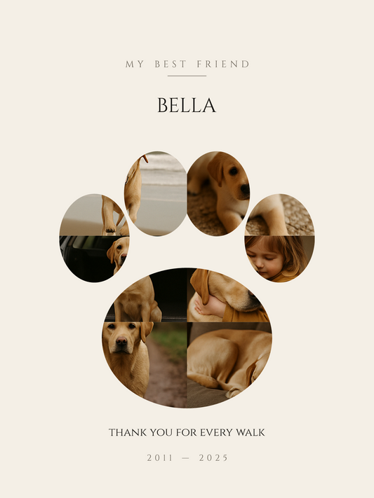 The artwork — your photos set inside the shape